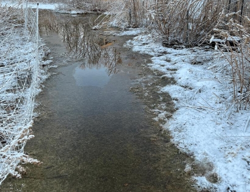 Rain Boots, Galoshes, and Wellies, Oh My!