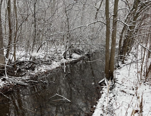 Speaking From the Heart