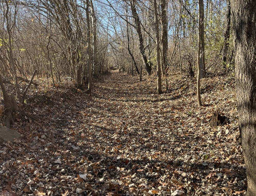 Taking Care of Business