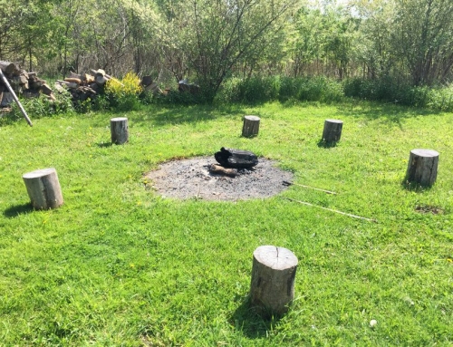 Crossing Hedgerows Circle Meet Up