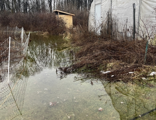 A Little Sloshing About, Part 1