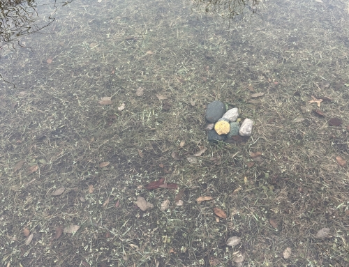 A Little Sloshing About, Part 3 – The Stone Circle