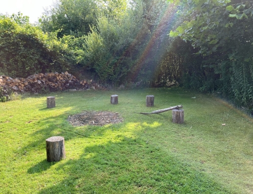 Event: Crossing Hedgerows Circle Meetup – Today at 11 am!