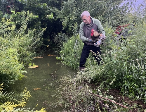 Flood – This Sunday’s Meet Up Cancelled