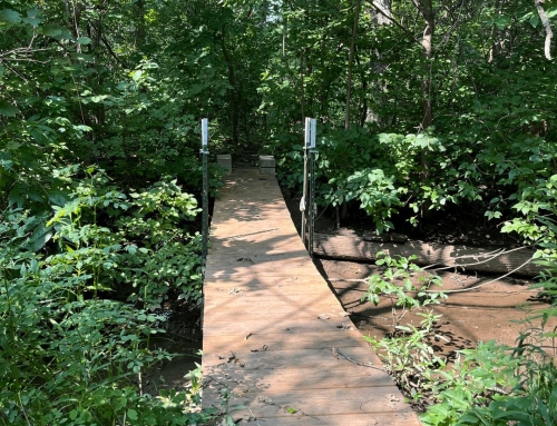 The In Between Spaces