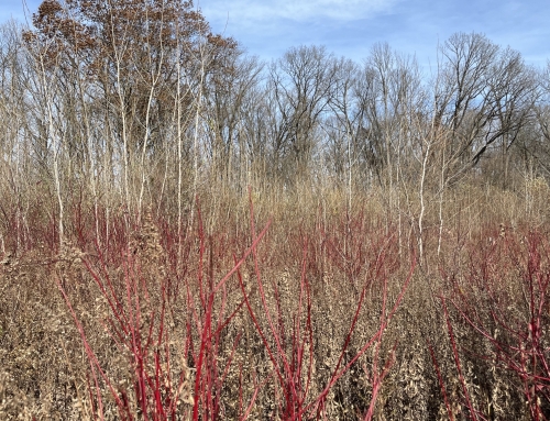 Resilience in the Cold, and a Special Note