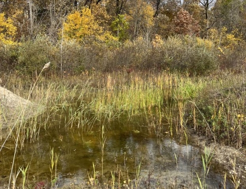 Samhain at the Sanctuary