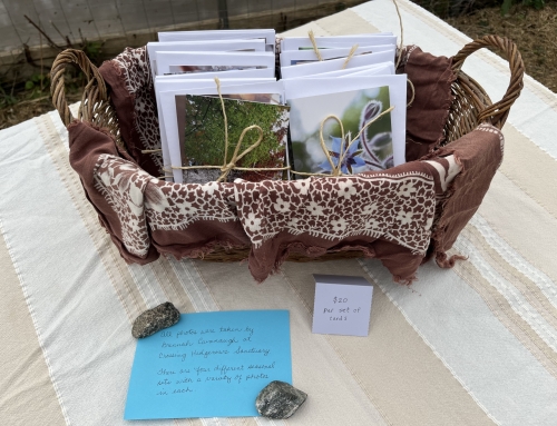 Seasonal Card Sets from Crossing Hedgerows Sanctuary