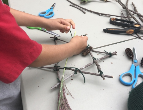 Family Mystery School Update 🌳