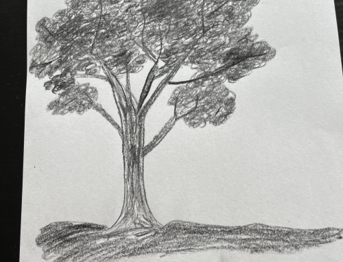 Request for Testimonials / Reviews