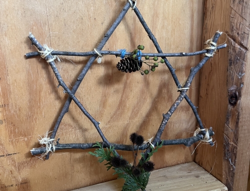 Family Mystery School Update 🌳