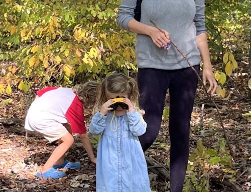 Family Mystery School Photos