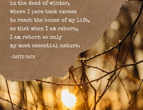 Happy January ~ A Time For Dreaming