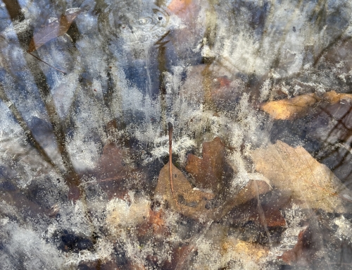 A Never Ending Story