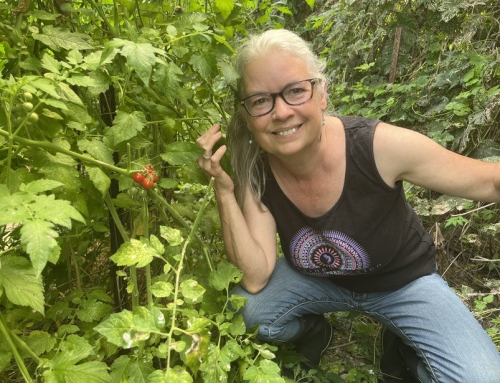 Event: Wellness Walk and Bonfire 🪷