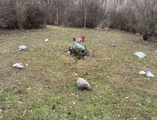 Mystical Christmas Celebration Reflections