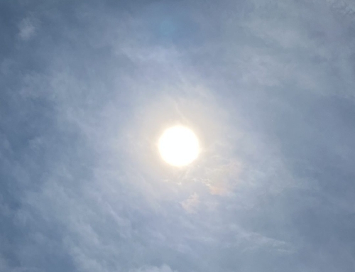 Summer Solstice Celebration