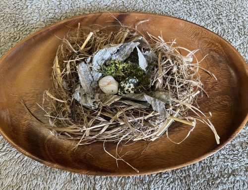 Event: Hedgerow Learning Community –  Open House 🌳