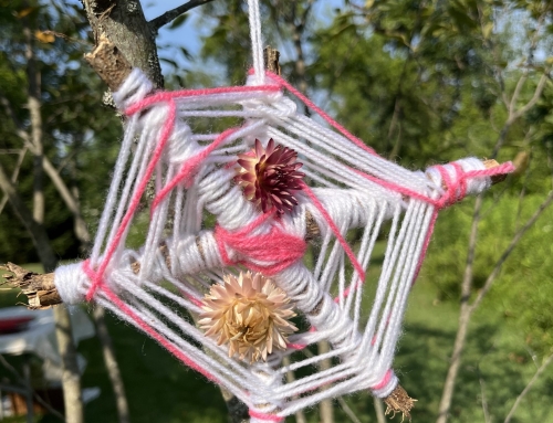 A Little Update – Summer 2026